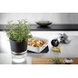 GEFU BOTANICO Smart plantepotte Sort Transparent